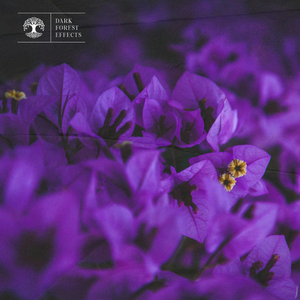 新婚H圆房～H嗯啊1V1
