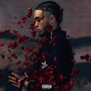 成熟女人记录自己被一根大黑屌操得快感不断
