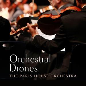 日韩三级在线播放
